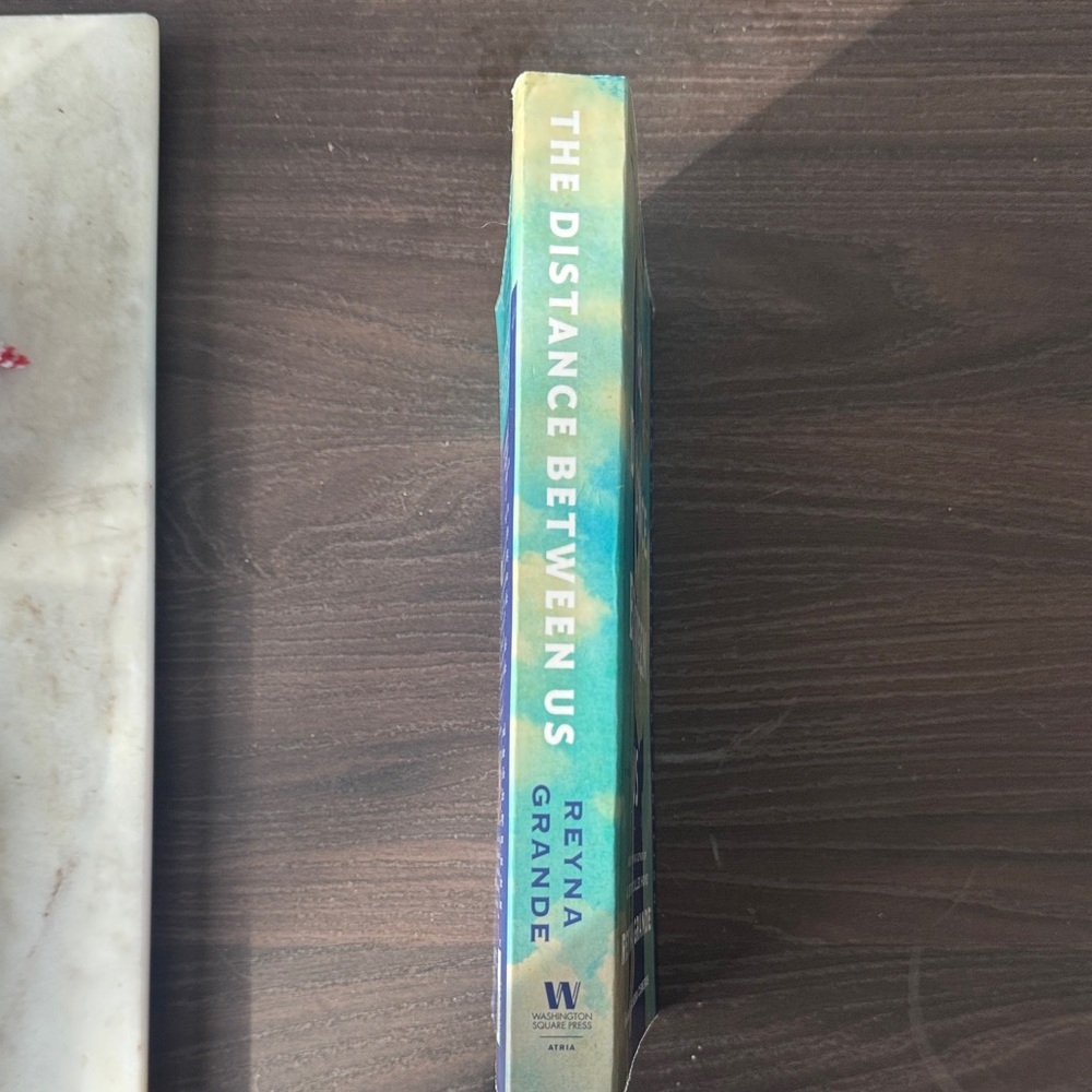 The Distance Between Us Book - Picture 3 of 4